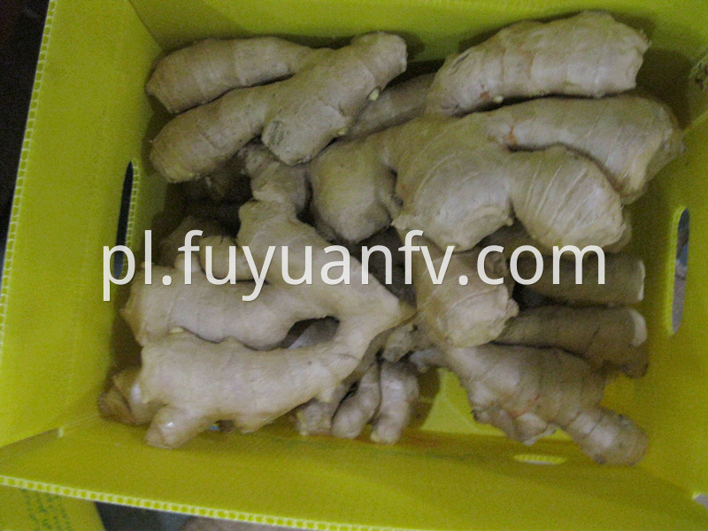 5kg air dried ginger 